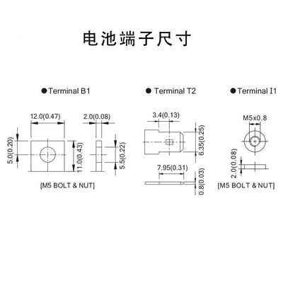 B. B. Battery BP Series BP20-12FR 12V 20ah VRLA Lead-Acid Rechargeable Battery for UPS