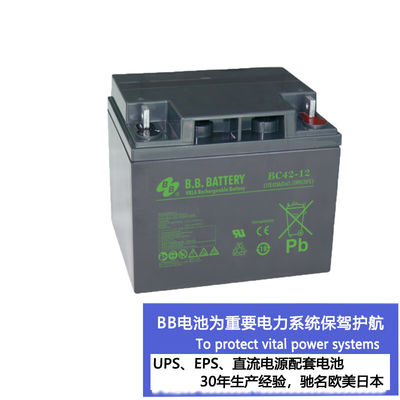 12V 42Ah BC42-12 VRLA Rechargeable Lead-acid Battery for Golf Carts