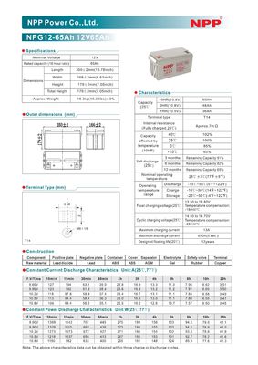 NPP NPG12-65Ah Rechargeable AGM Heavy Duty Deep Cycle NPP Gel VRLA Battery for Off Grid Solar System Golf Cart Non Spill able